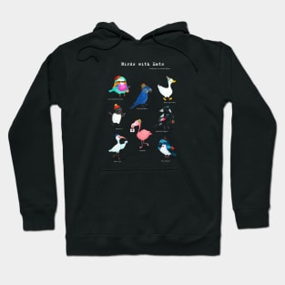 Birds with Hats - Version 2 - Text in White Hoodie